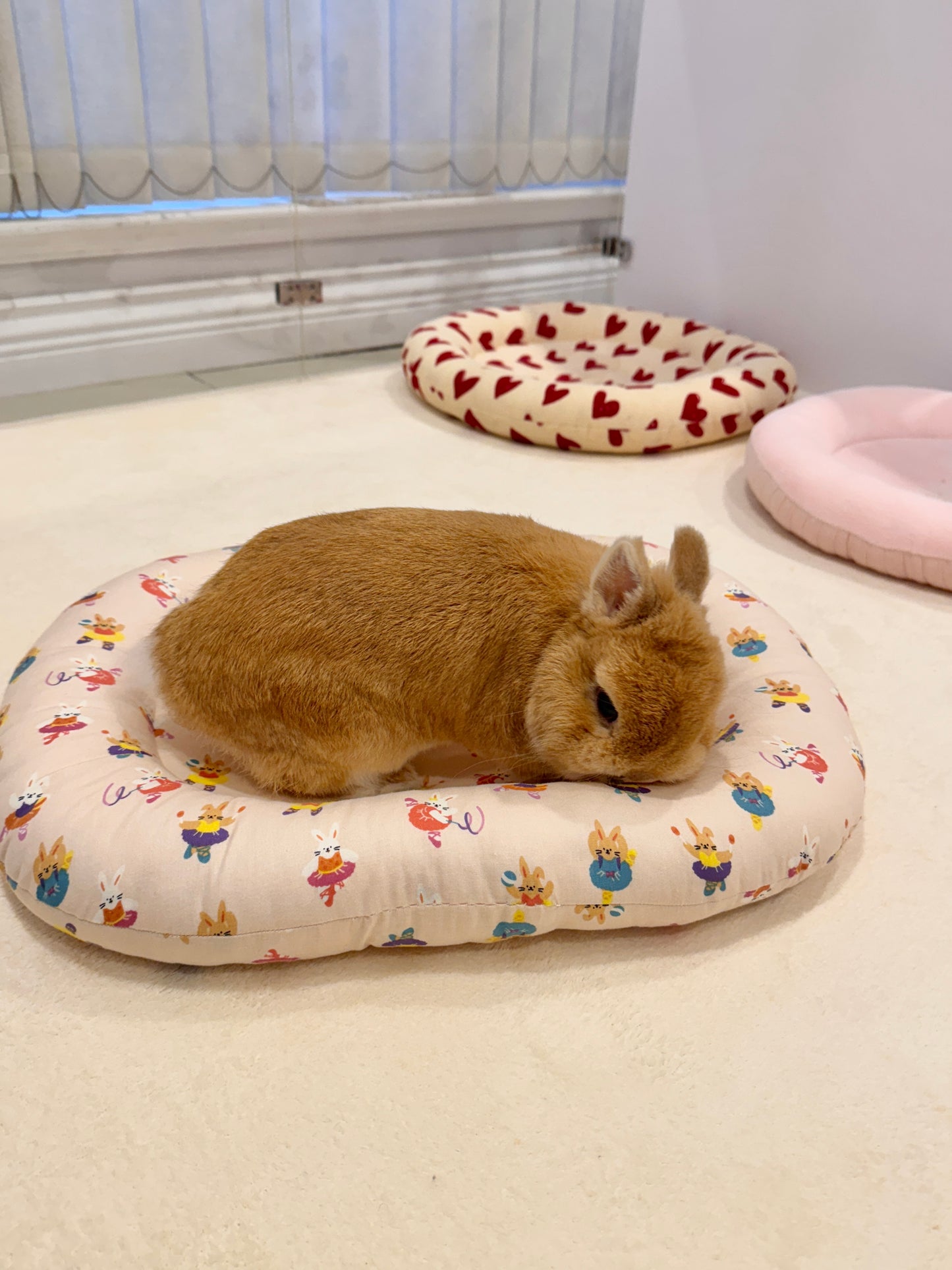 Ballerina bunny Bed, Large