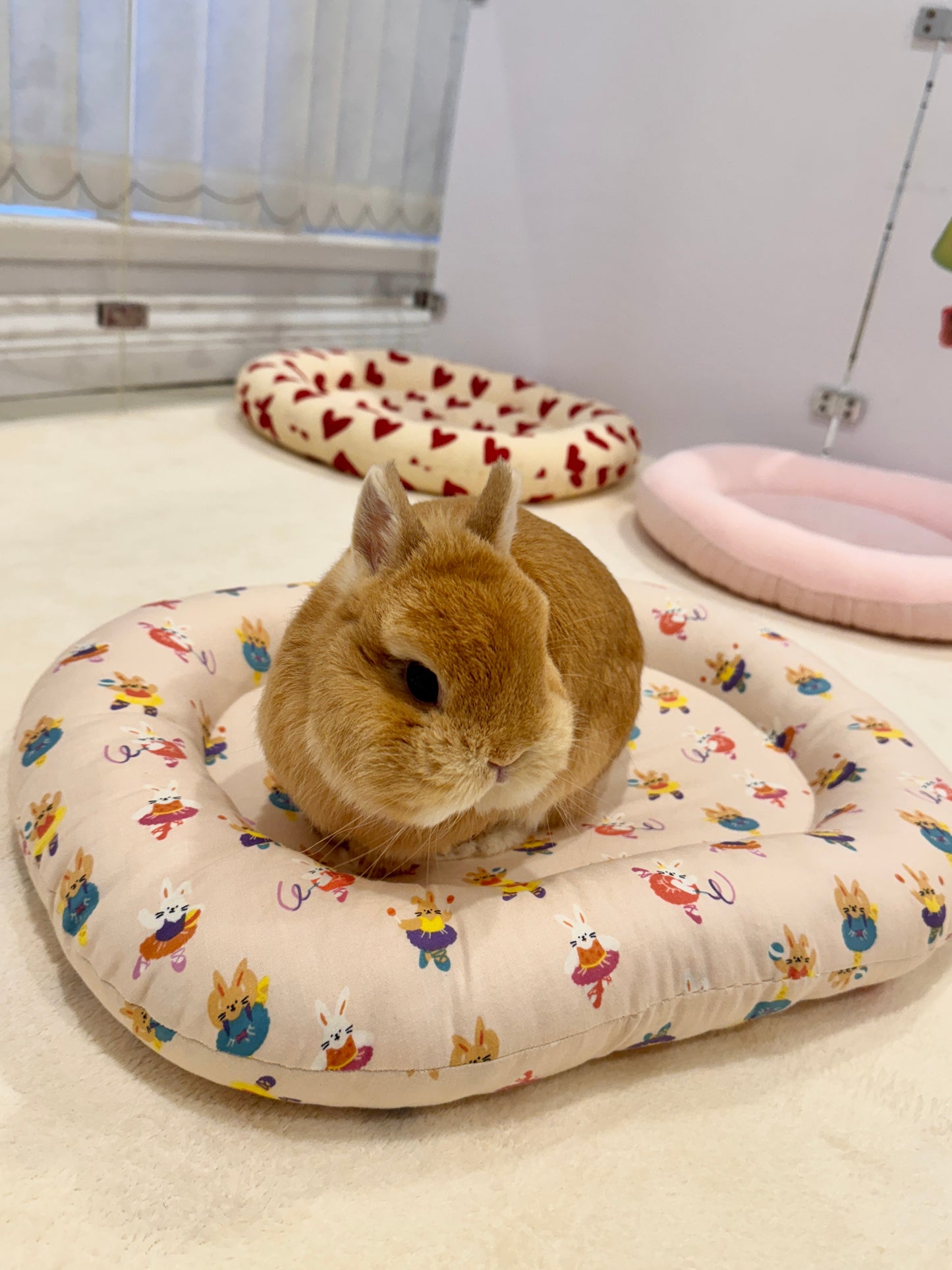 Ballerina bunny Bed, Large