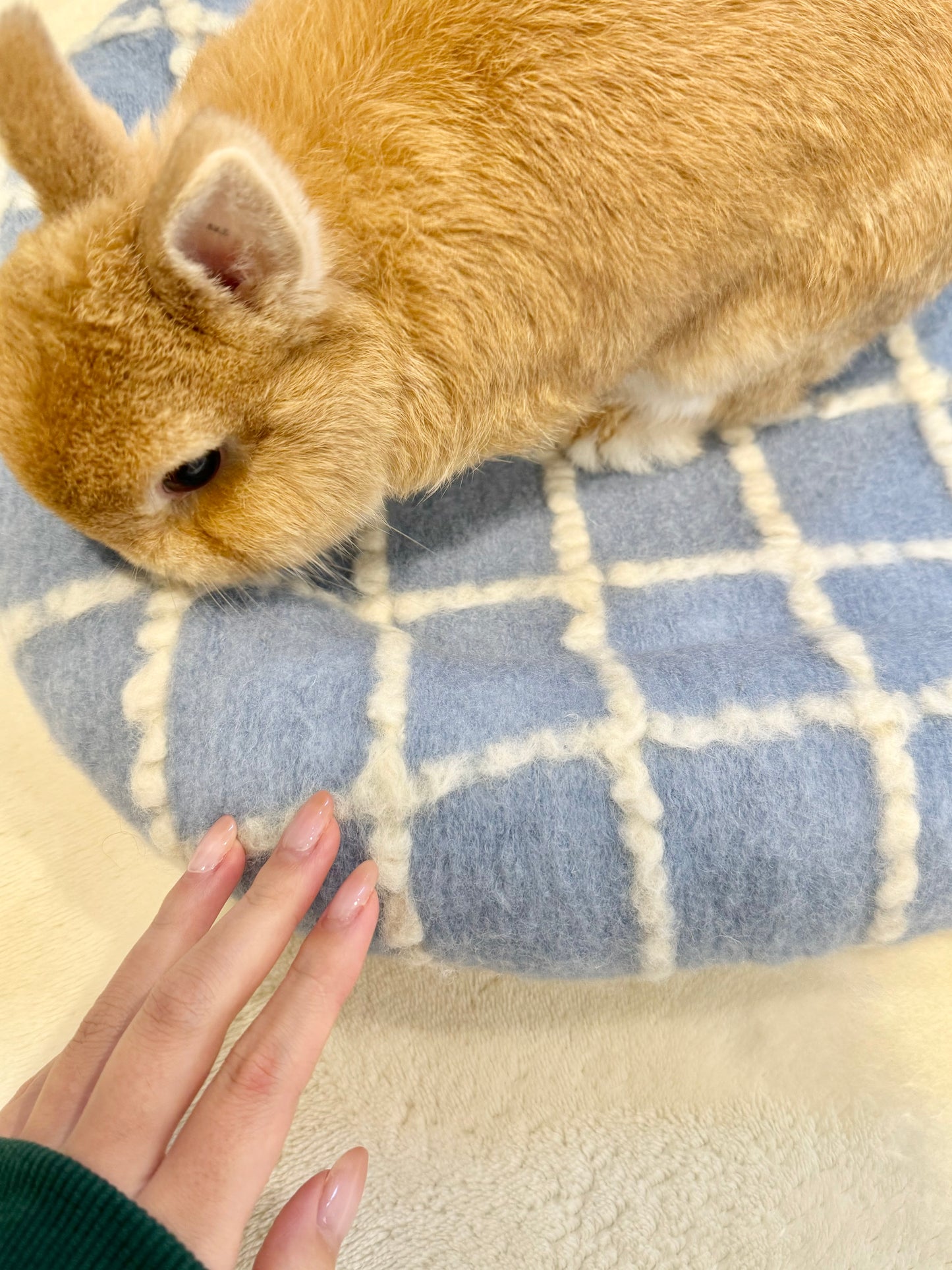 Cozy Cloud Grid Oval Large bunny Bed