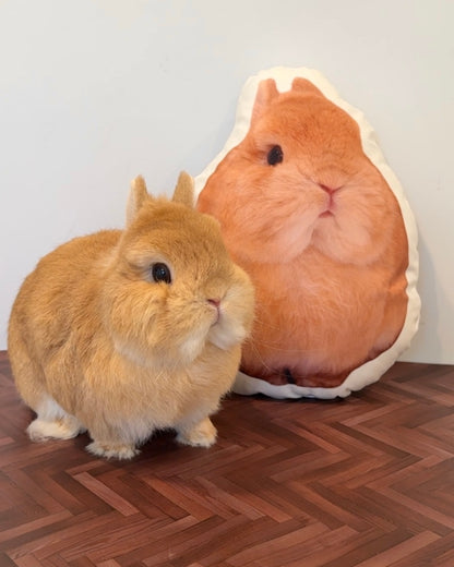 Good Eggie Pillow