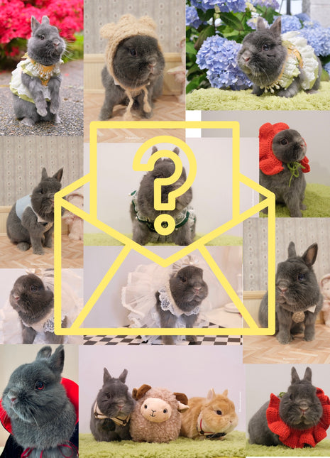 Mystery Bobi Postcard 3.0