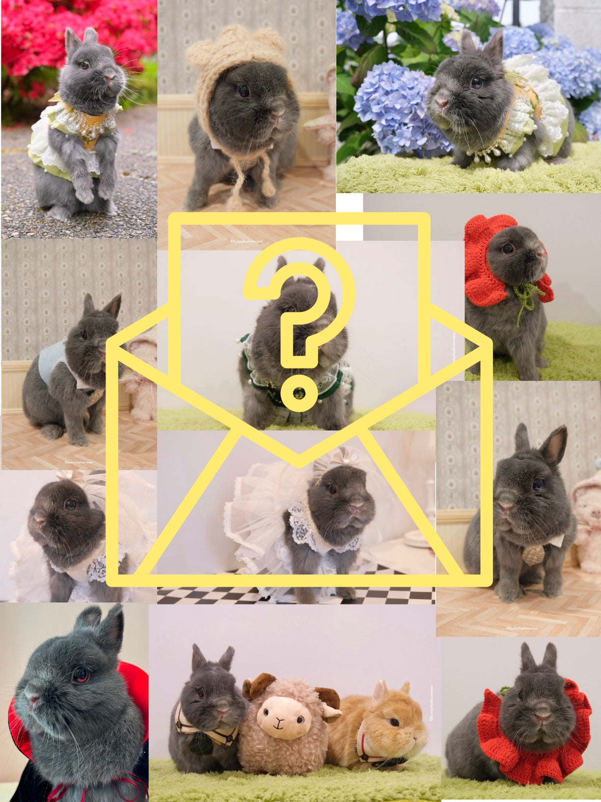 Mystery Bobi Postcard 3.0