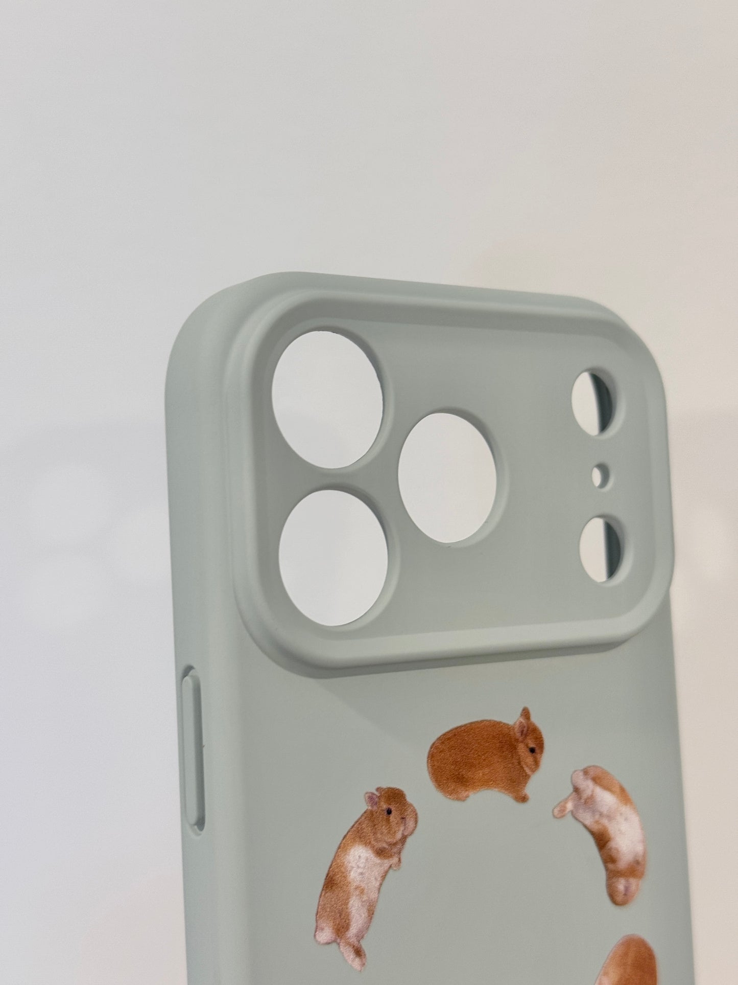 Pre-order. Eggroll iPhone case, MagSafe compatible