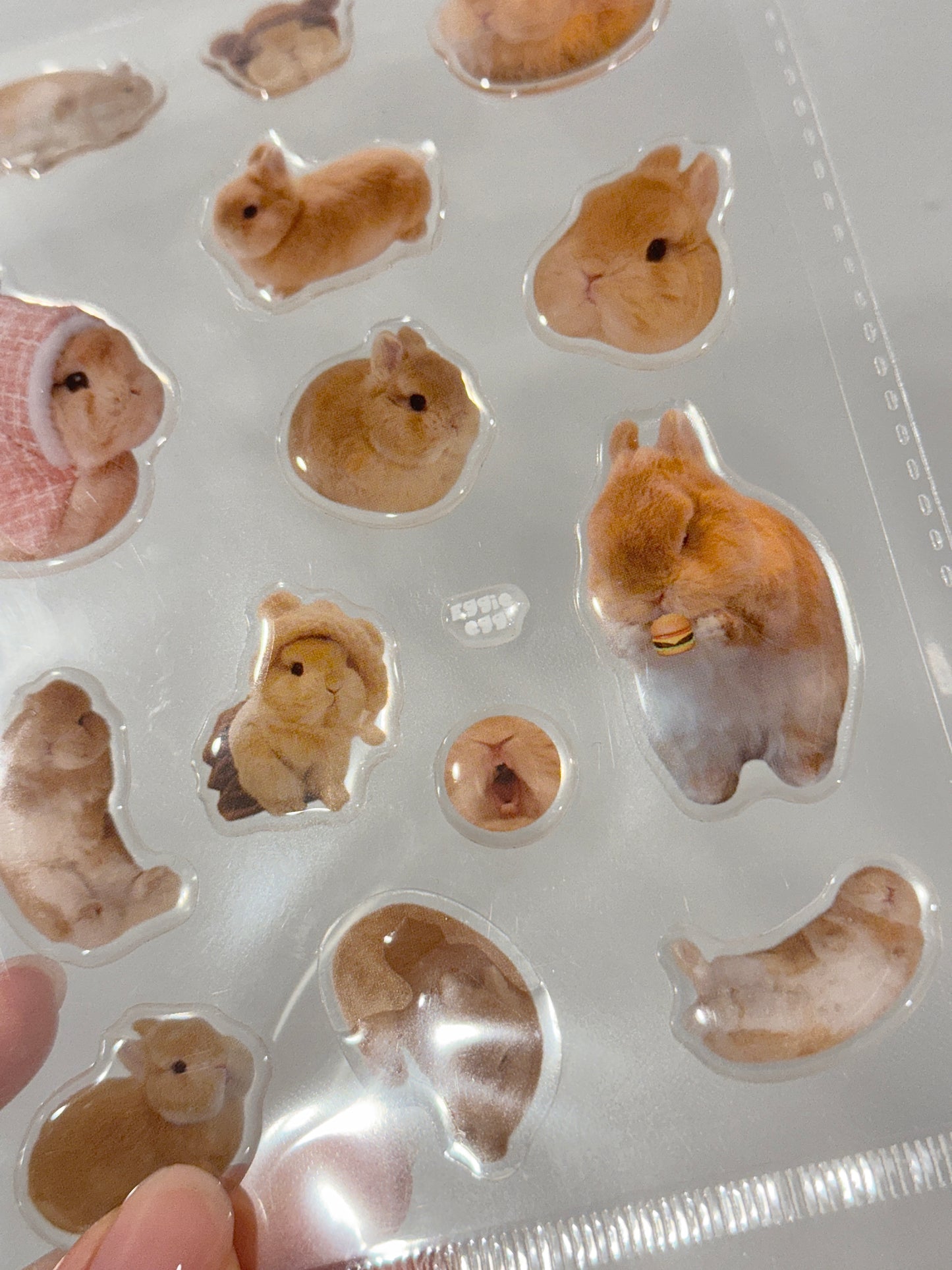 Eggie Gel Sticker Sheet