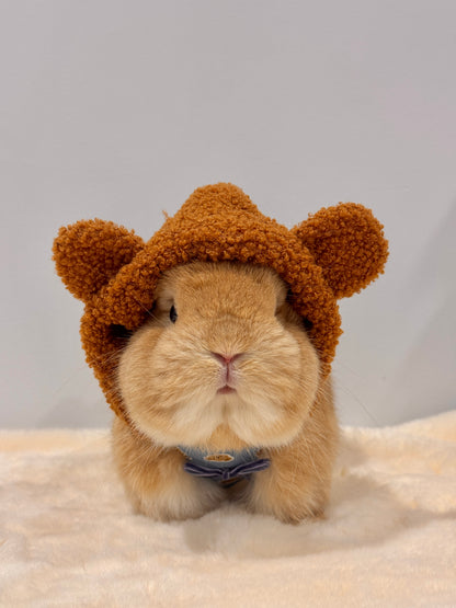 Pre-order. Pandiggie Beariggie Hoodie Harness