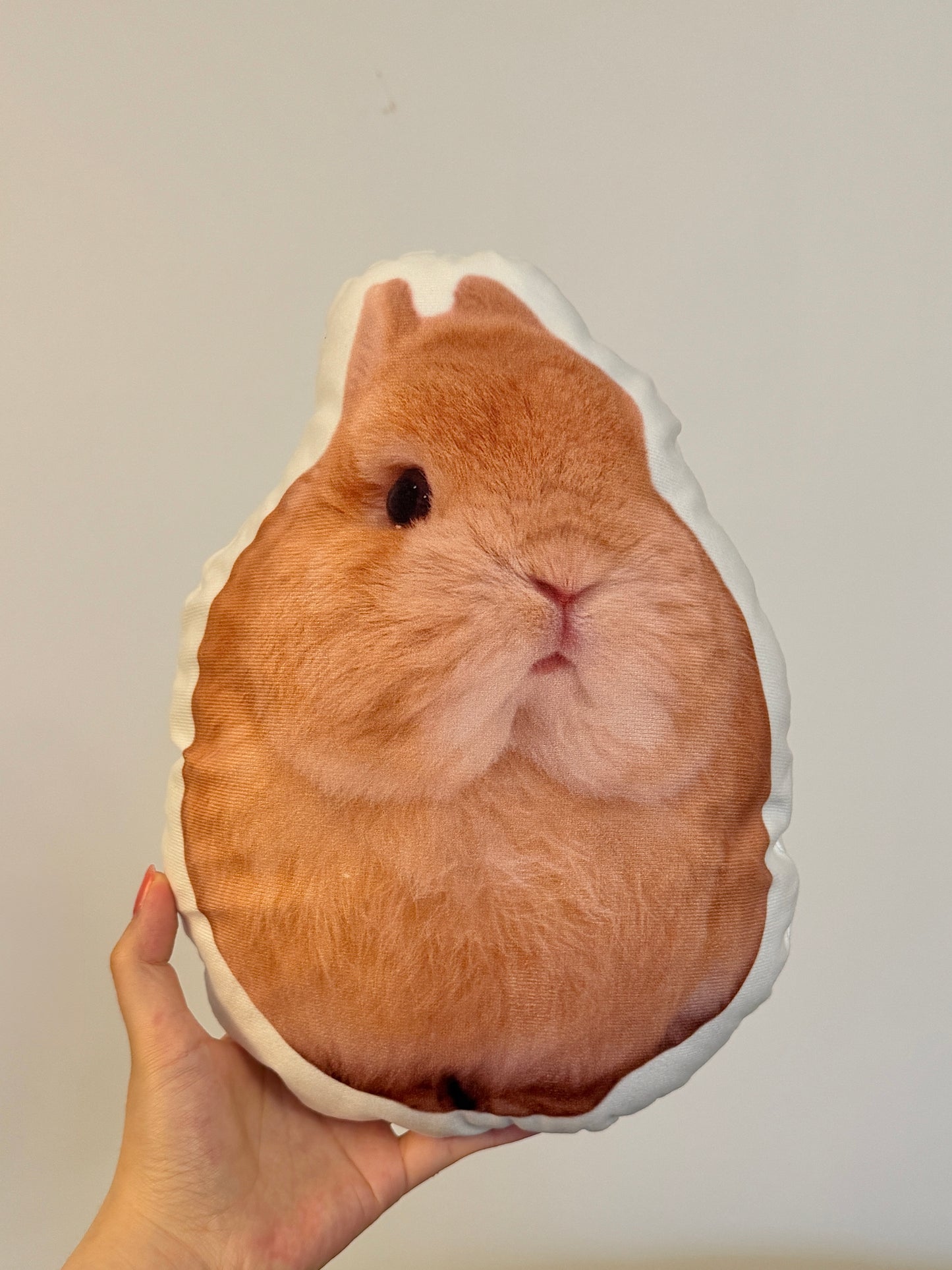 Good Eggie Pillow