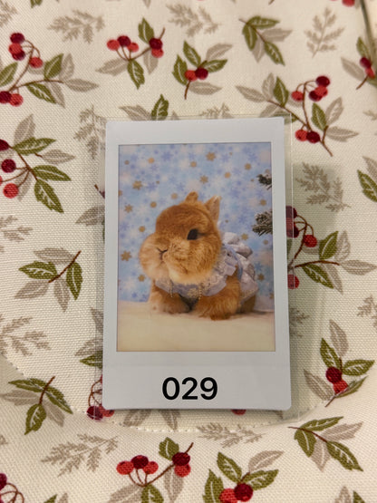 Eggie Bobi Fuji Instax Mini Film