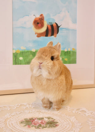 Babee Bumbleggie Poster