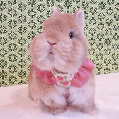 Pre-order. Pink Fruit Lace Dress/Harness