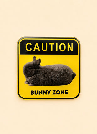 Bunny Fridge Magnet