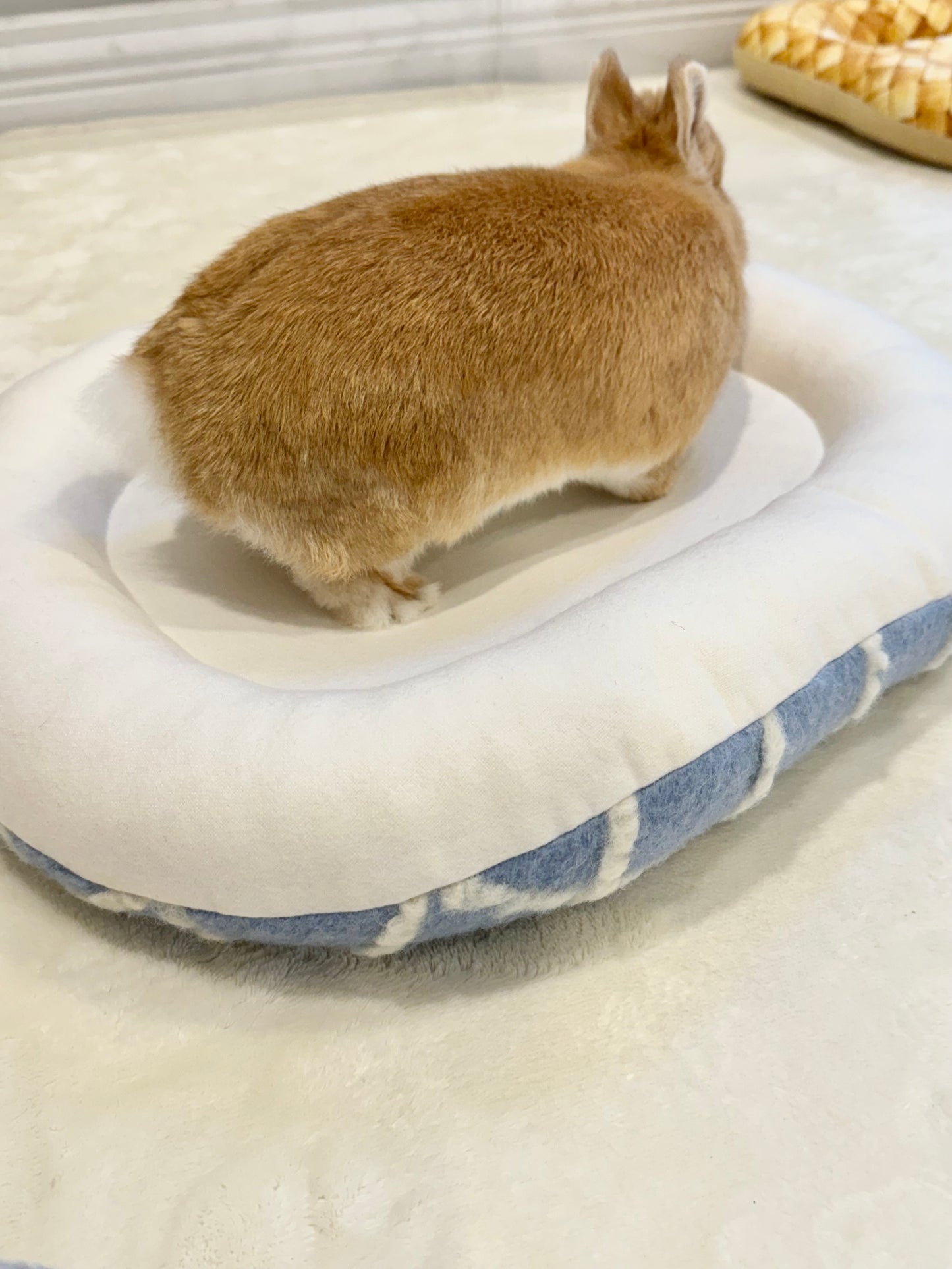 Cozy Cloud Grid Oval Large bunny Bed