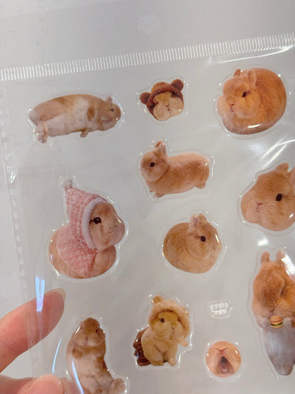 Eggie Gel Sticker Sheet