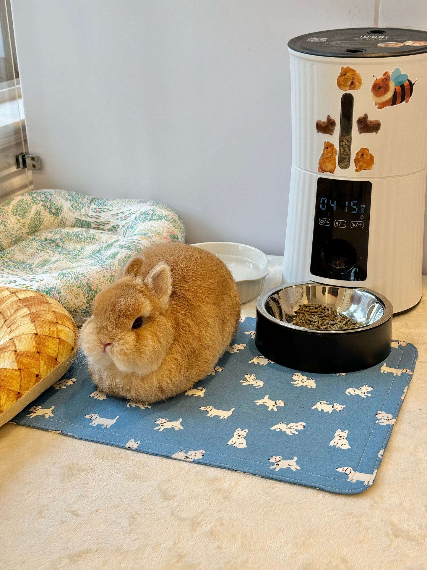 Thin Flat bunny pet mat