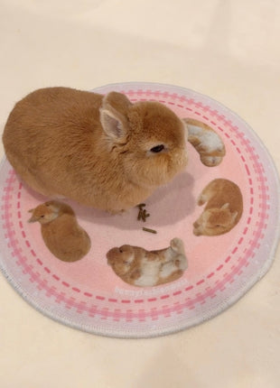 Eggroll Rug Small