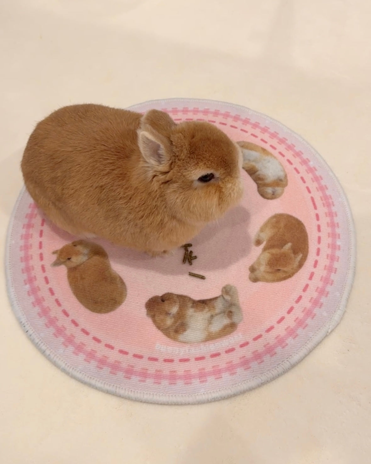 Eggroll Rug Small