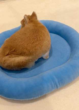 Blue Velvet bunny bed, Large
