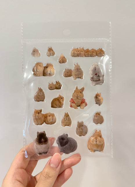 Egg Family Gel Sticker Sheet