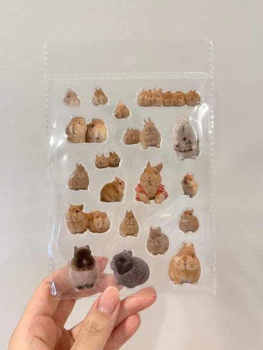 Egg Family Gel Sticker Sheet