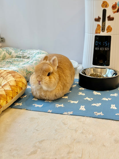 Thin Flat bunny pet mat