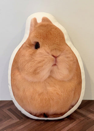 Eggie Pillow