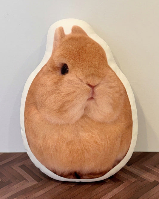 Good Eggie Pillow