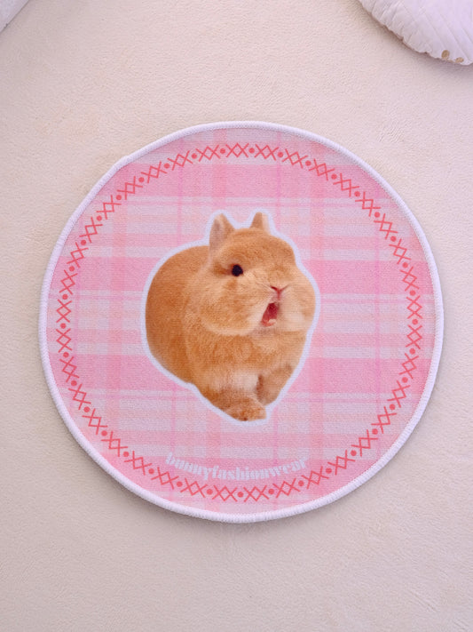 Pre-order. Eggiesaurus Rug