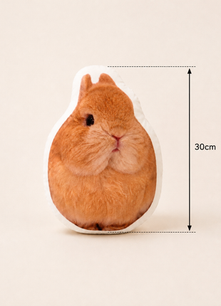 Eggie Pillow