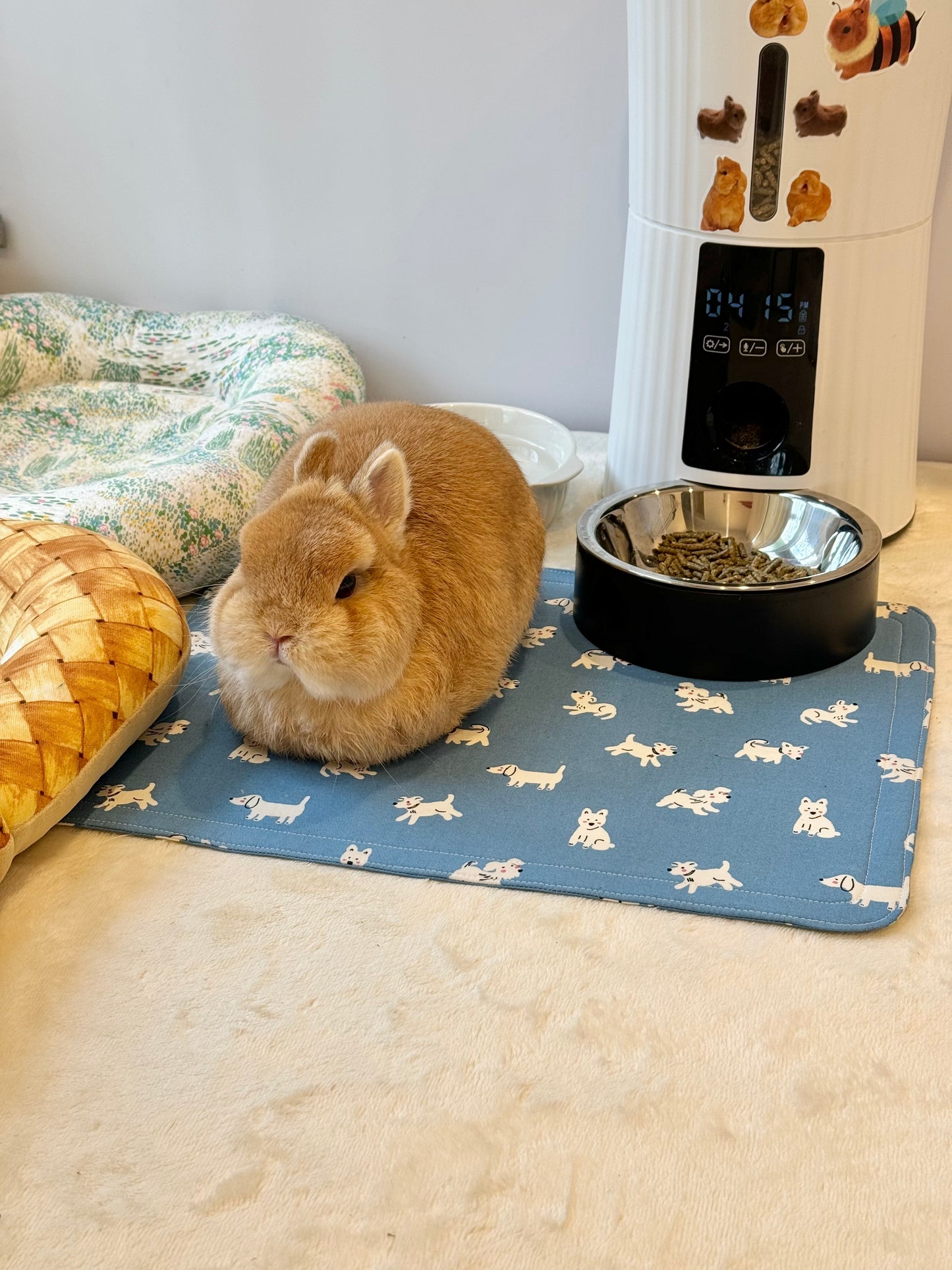 Thin Flat bunny pet mat