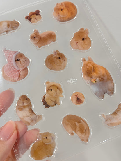 Eggie Gel Sticker Sheet