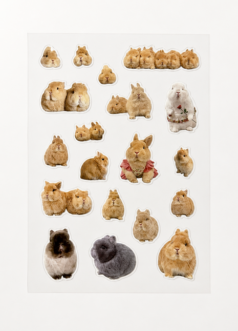 Egg Family Gel Sticker Sheet