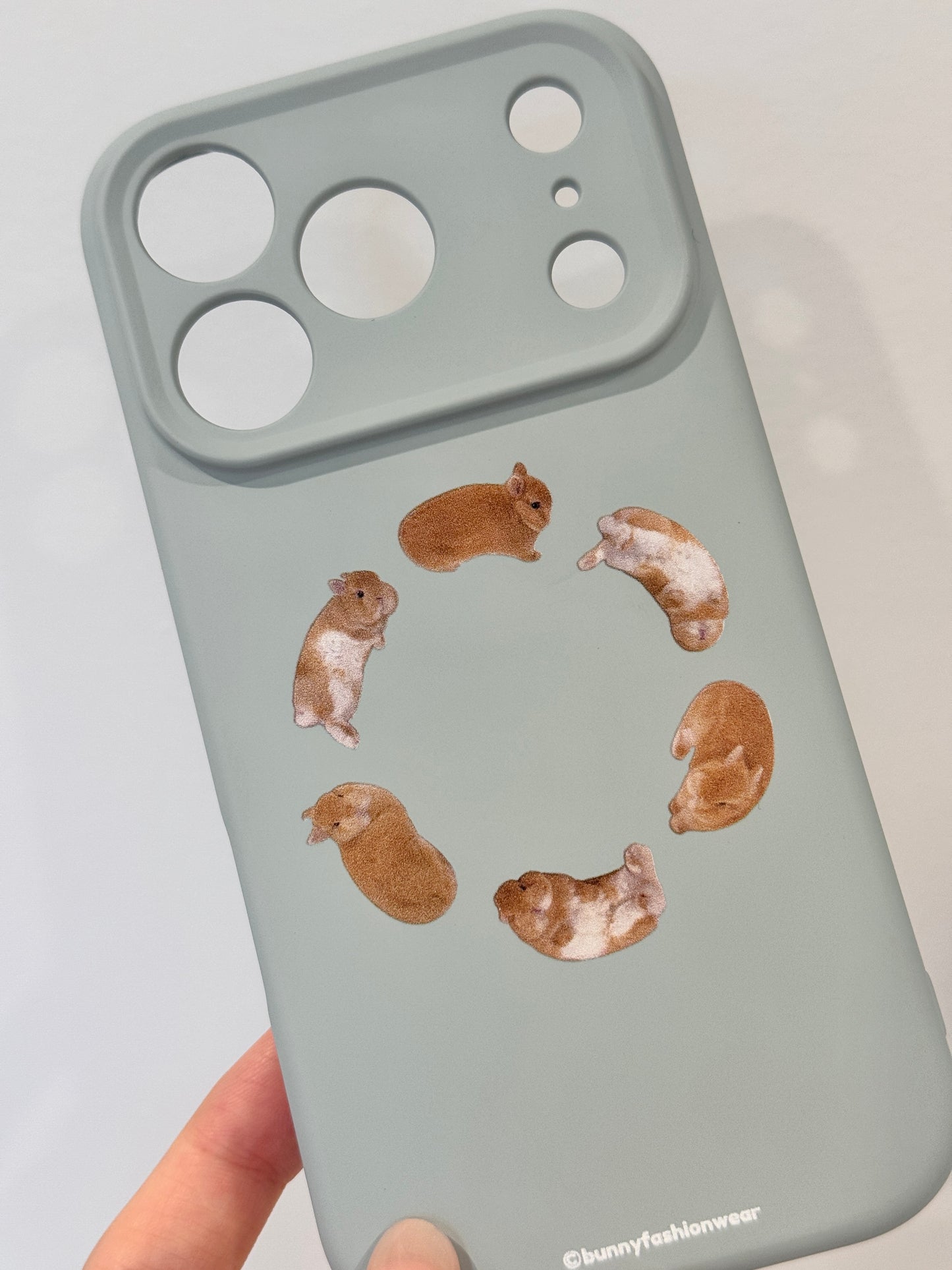 Pre-order. Eggroll iPhone case, MagSafe compatible