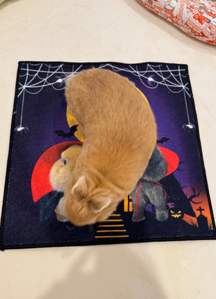 Eggiecula Bobicula Rug