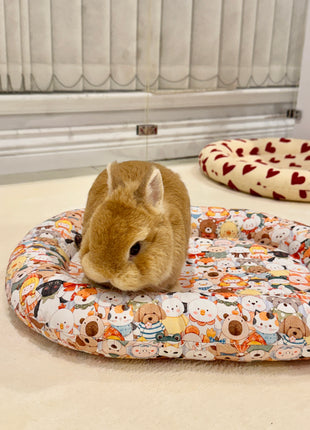 Cute animal bunny Bed