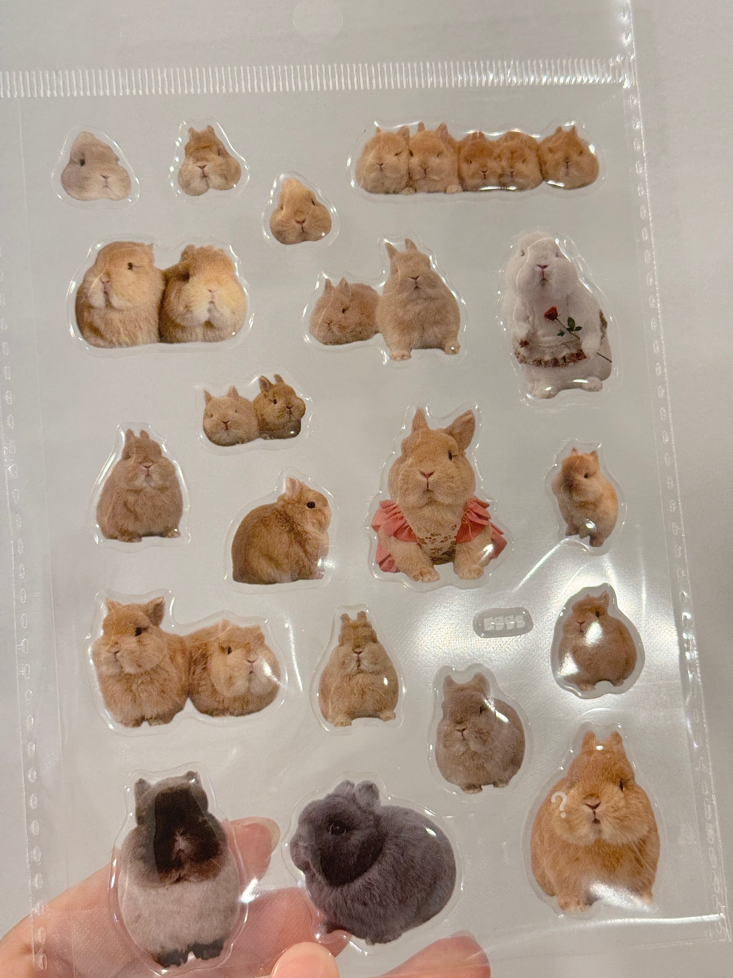 Egg Family Gel Sticker Sheet