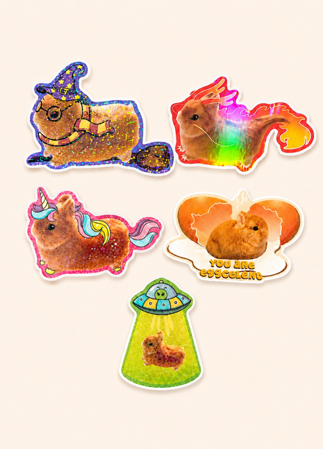 Set of 5 Large Holographic Vinyl stickers 20% OFF
