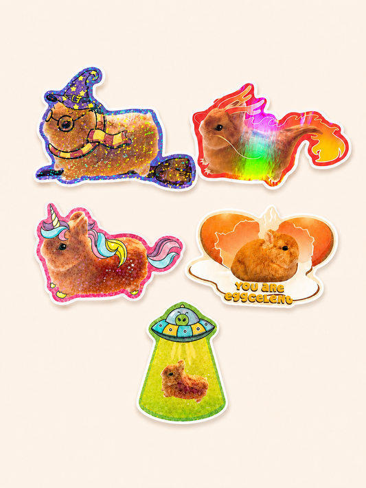 Set of 5 Large Holographic Vinyl stickers 20% OFF