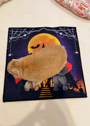 Eggiecula Bobicula Rug