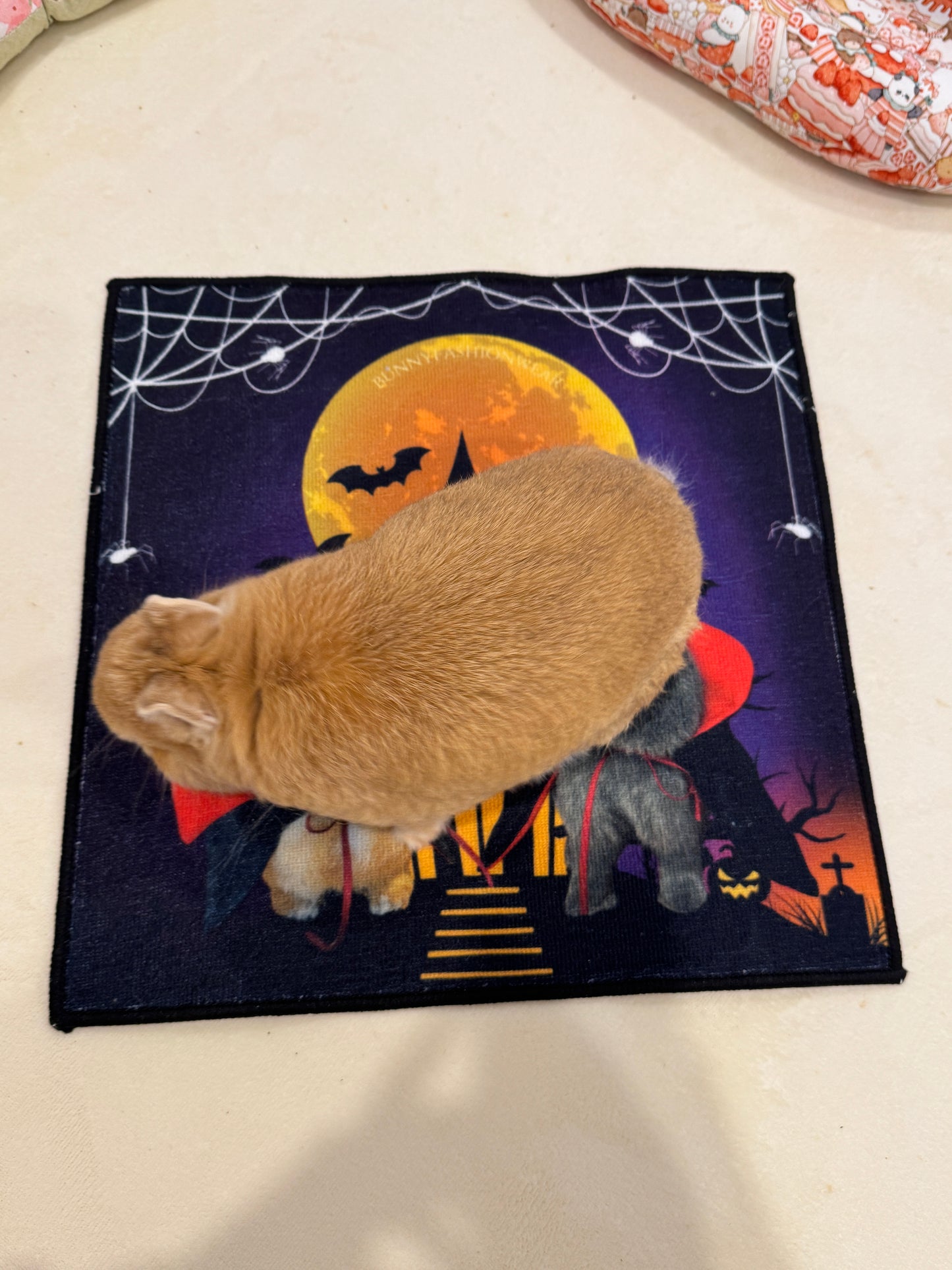 Eggiecula Bobicula Rug