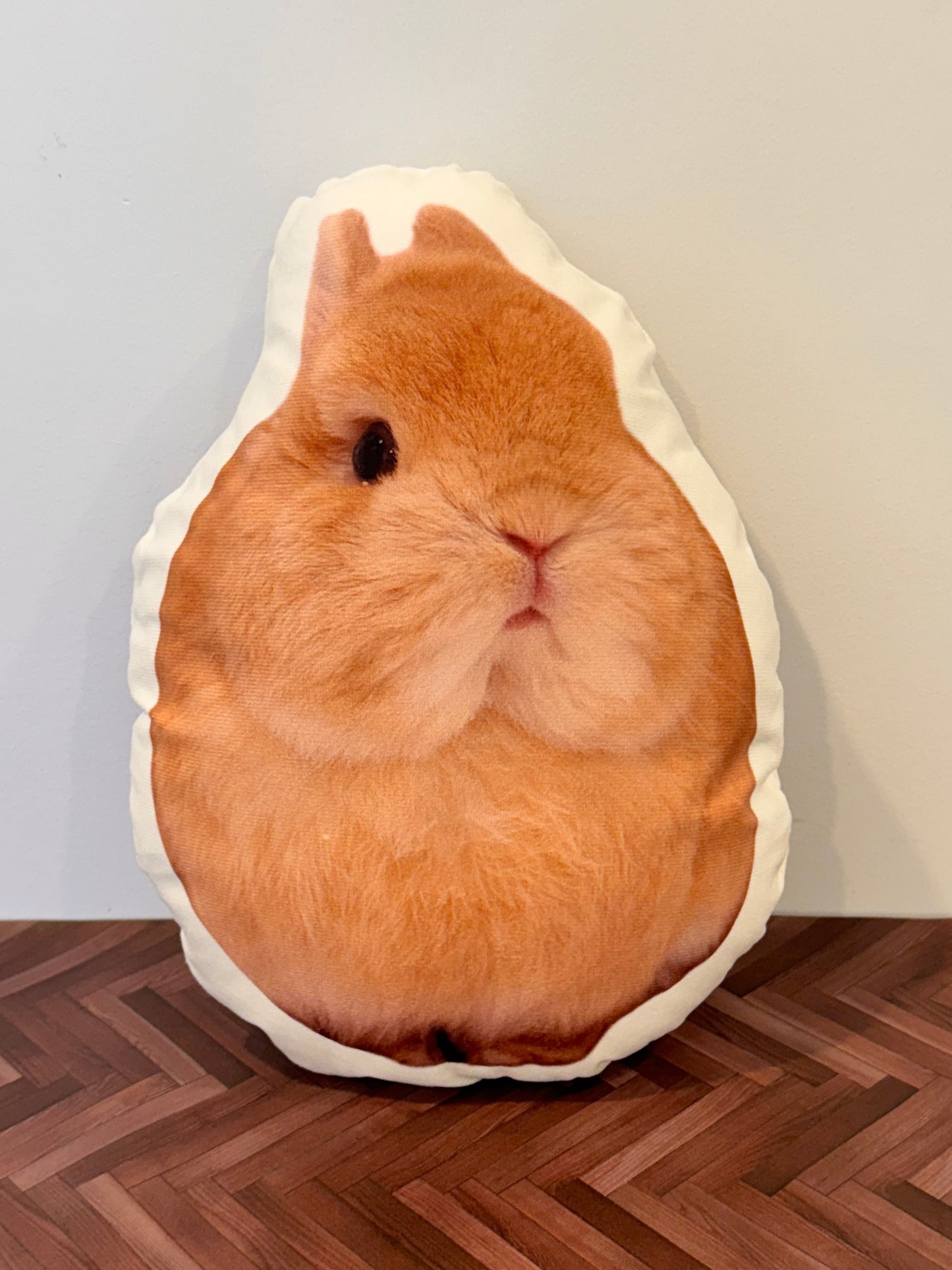 Good Eggie Pillow