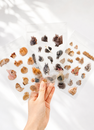 A hand holds three clear plastic sheets filled with small animal-shaped stickers or charms, including rabbits, squirrels, and other furry creatures, against a bright white background with soft leaf shadows.