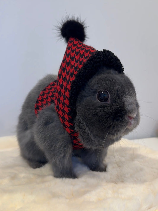 Pre-order. Bobi Red Hoodie Harness