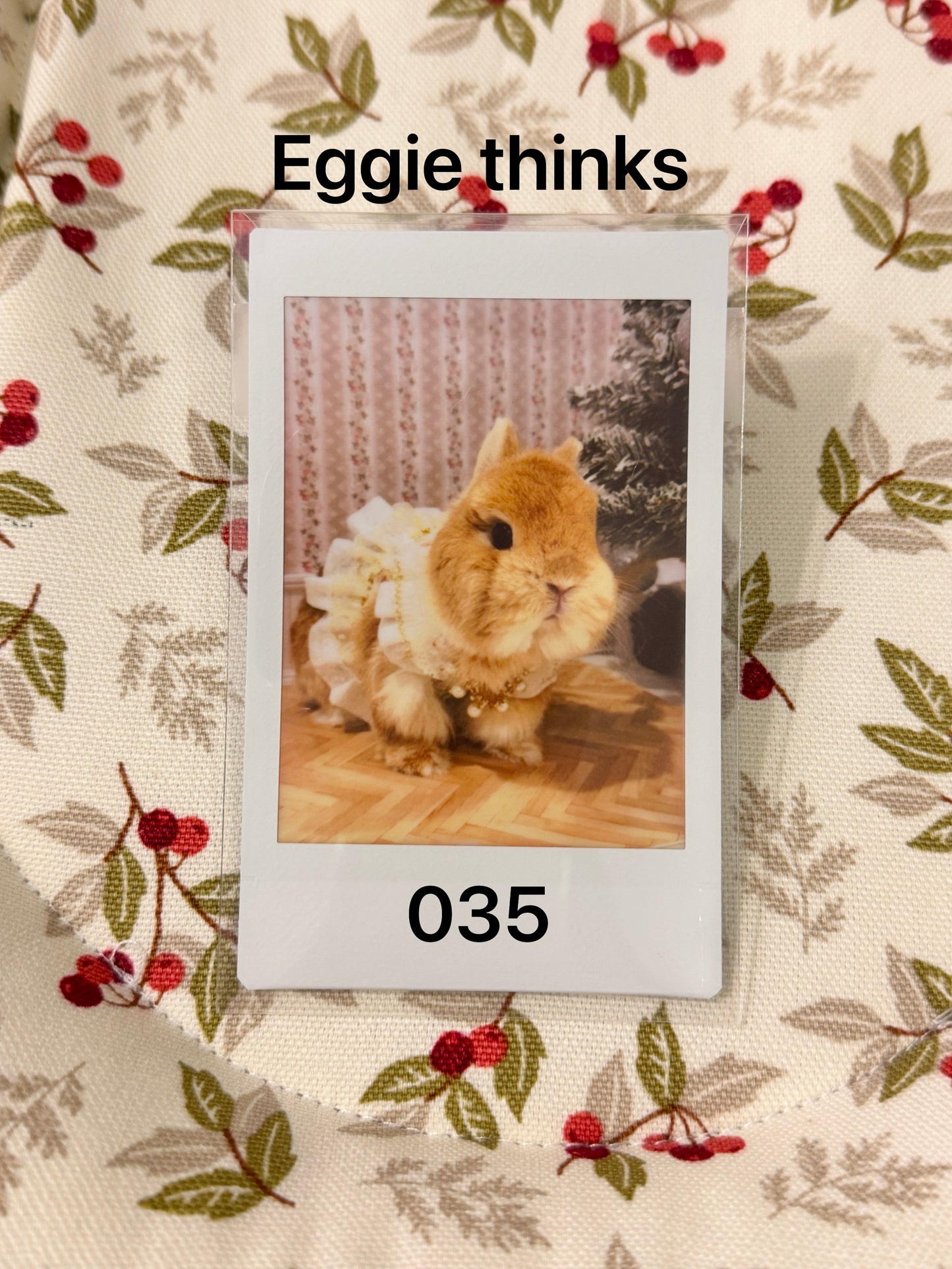 Eggie Bobi Fuji Instax Mini Film