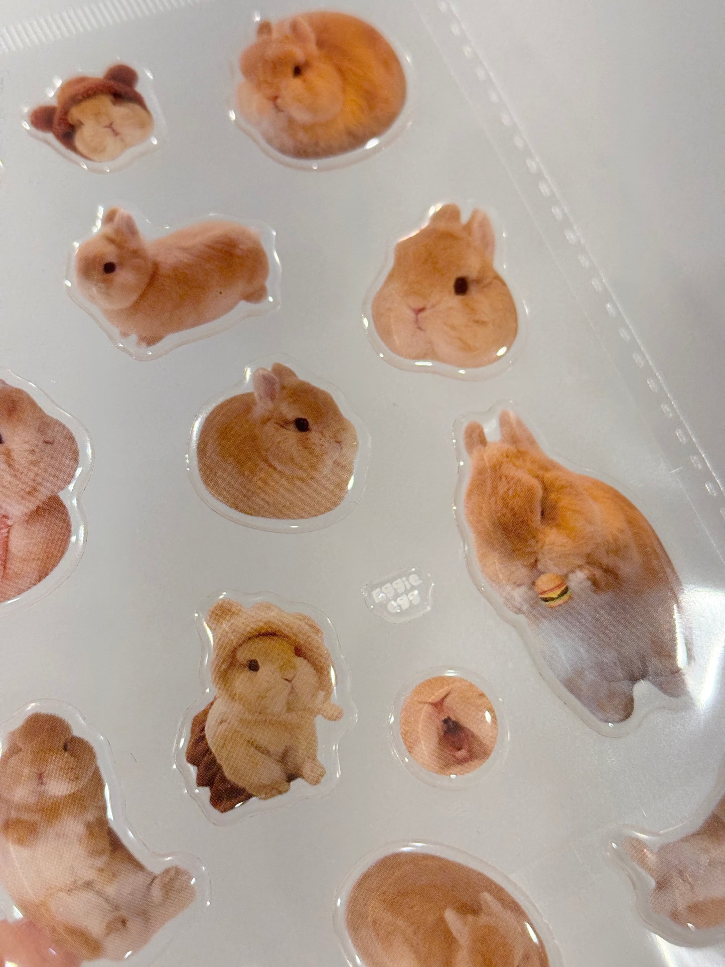 Eggie Gel Sticker Sheet