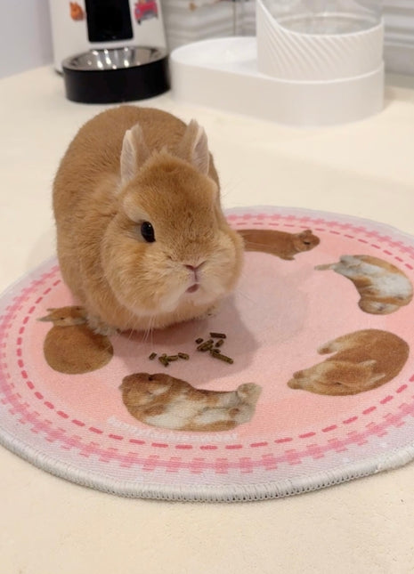 Eggroll Rug Small