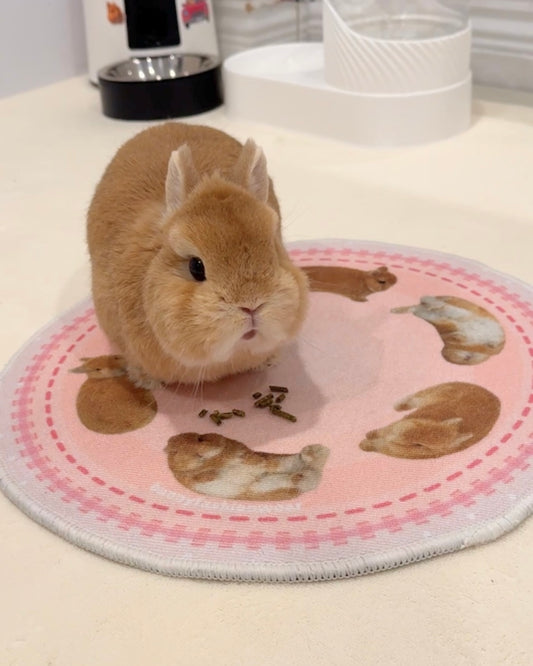 Eggroll Rug Small