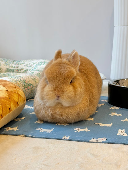 Thin Flat bunny pet mat