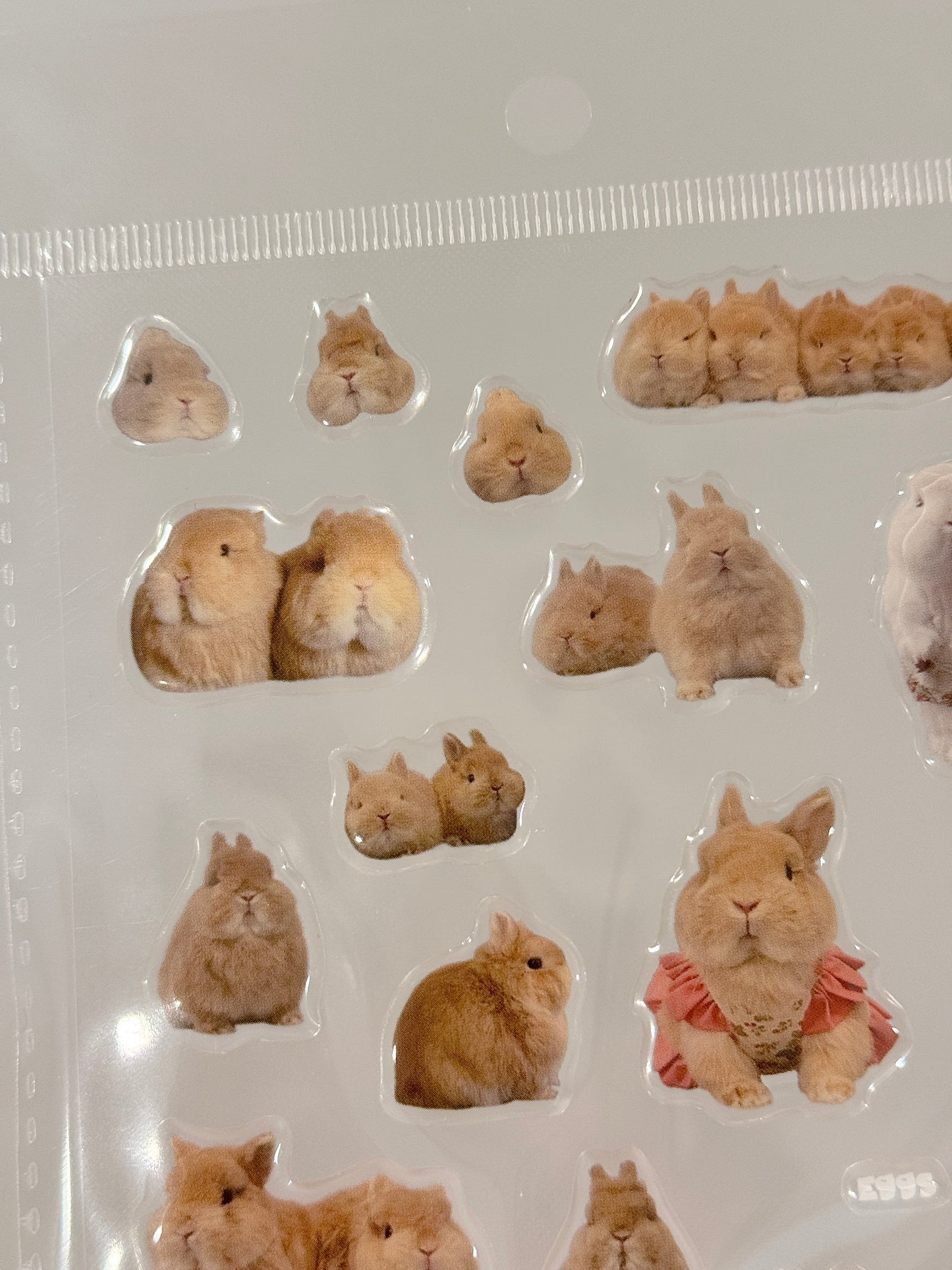 Egg Family Gel Sticker Sheet