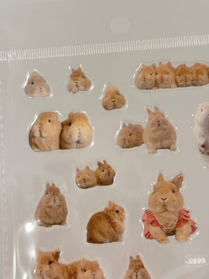 Egg Family Gel Sticker Sheet