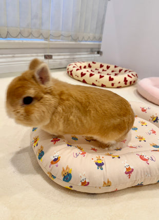 Ballerina bunny Bed