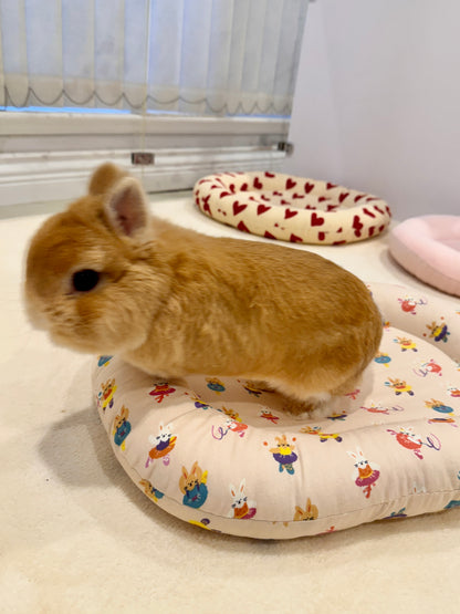 Ballerina bunny Bed, Large
